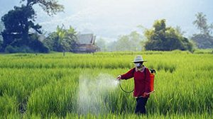 ảnh thuốc trừ sâu